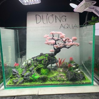 Layout Bể Cá Kích Thước Dài 29cm, Rộng 16cm, Cao 18cm