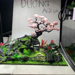 Layout Bể Cá Kích Thước Dài 29cm, Rộng 16cm, Cao 18cm