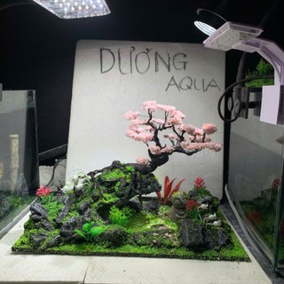 Layout Bể Cá Kích Thước Dài 29cm, Rộng 16cm, Cao 18cm