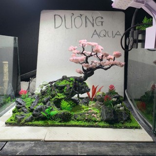 Layout Bể Cá Kích Thước Dài 29cm, Rộng 16cm, Cao 18cm