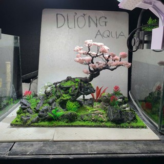 Layout Bể Cá Kích Thước Dài 29cm, Rộng 16cm, Cao 18cm