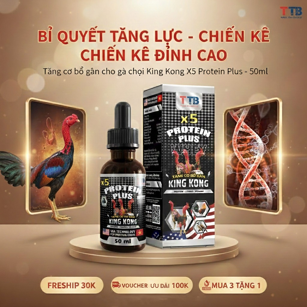 Tăng cơ bổ gân cho Gà Chọi King Kong X5 Protein Plus - 50ml Bổ Sung Vitamin, Phục Hồi Gân Cốt
