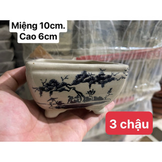  Chậu vuông mini bonsai gốm bát tràng men Trắng 