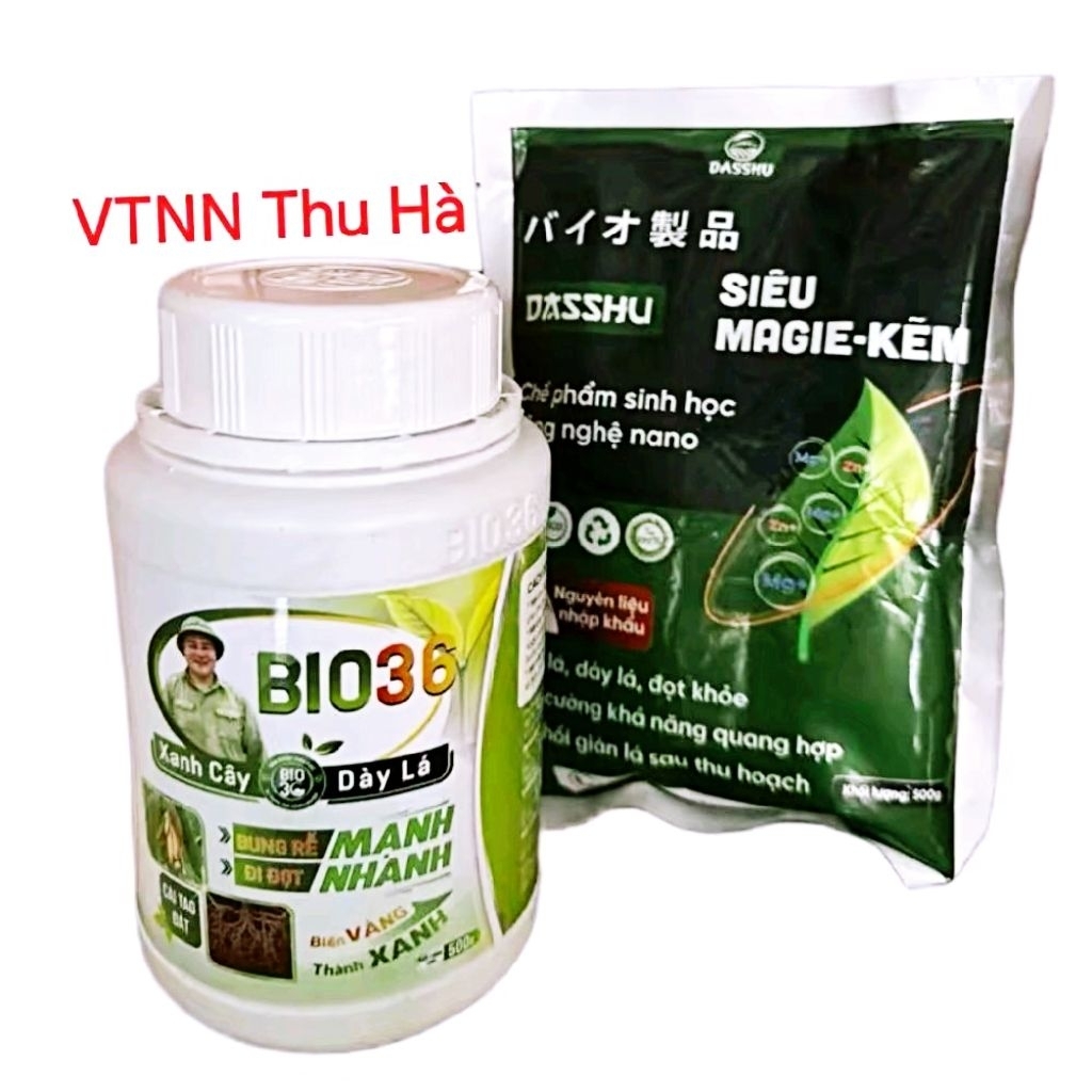 Phân bón Bio 36 tặng kèm 1 gói siêu magie kẽm kích rễ mạnh, đi đọt nhanh, xanh cây, dày lá.Bio 36 Hà
