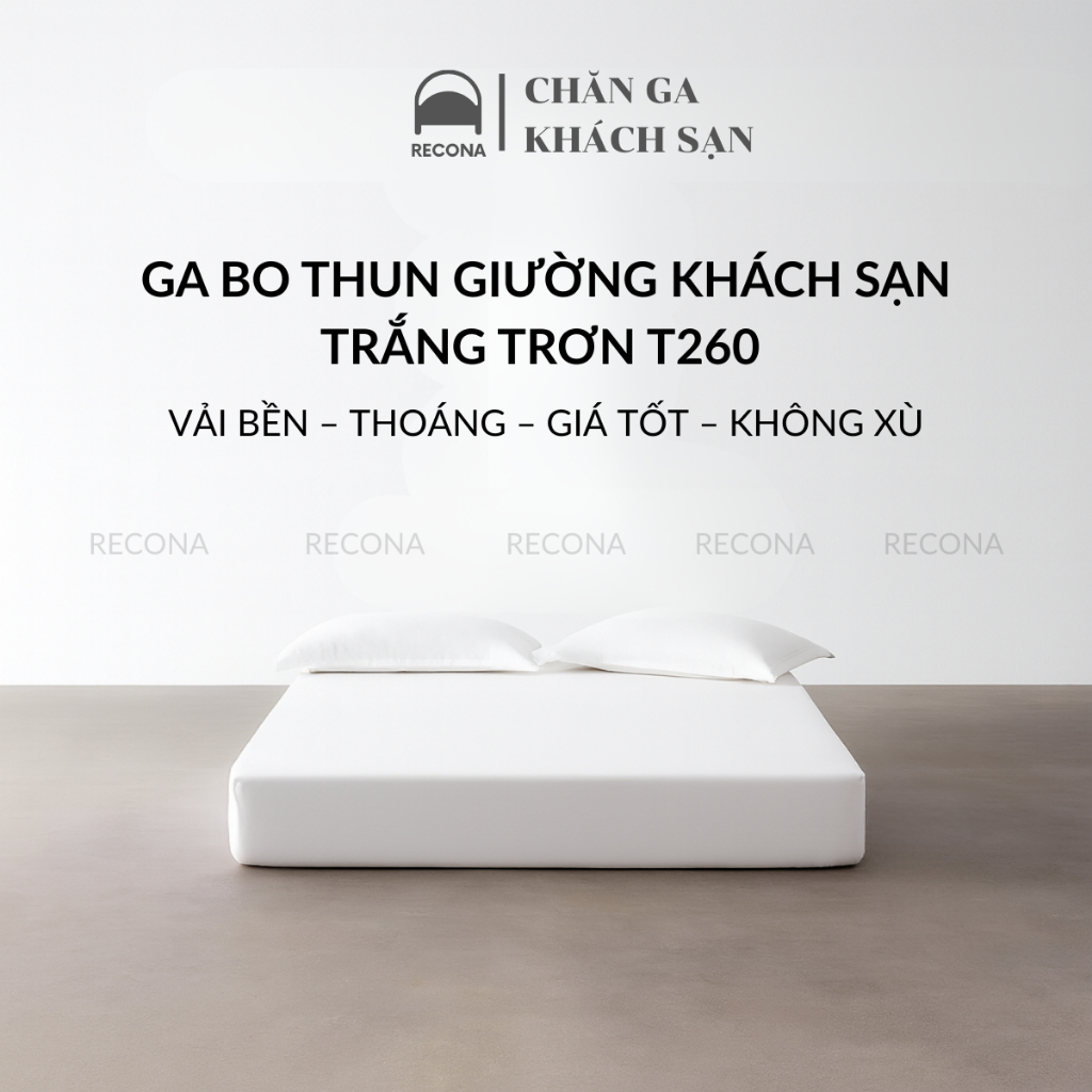 Ga Giường Bo Thun Trắng Trơn CVC T260 RECONA Cao Cấp – Dày Mịn – Không Xù, Không Bai