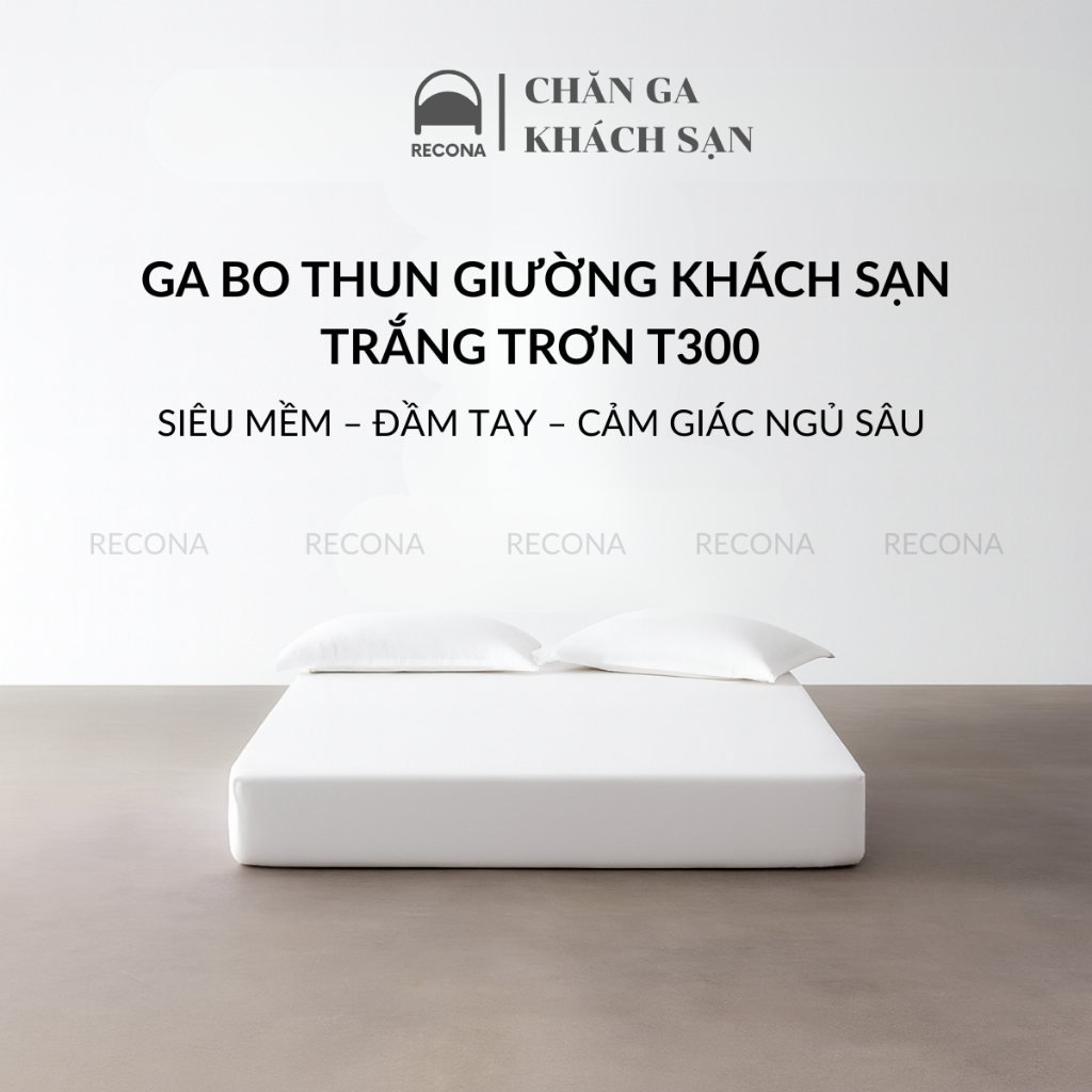 Ga Giường Bo Thun Trắng Trơn CVC T300 RECONA –  Dày Dặn – Bo Thun Co Giãn – Chuẩn Hotel Luxury