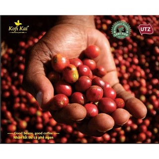 Cà phê Arabica 100% nguyên chất 1KG - 500G - 250G