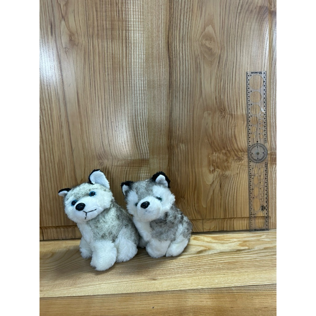 Gấu bông cún Husky, chó Husky