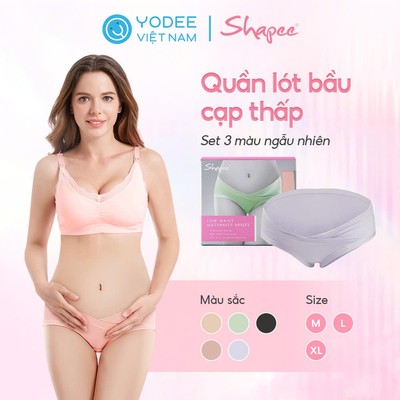 Shapee Quần lót bầu cạp thấp mềm mại, co giãn (set 3 cái màu ngẫu nhiên)