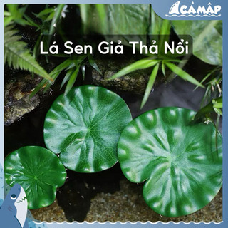 Lá Sen Giả Thả Nổi, Ông Già Câu Cá Ngồi Lá Sen, Mèo Ngồi Lá Sen, Trang Trí Hồ Thủy Sinh Cá Tép | Cá Mập Aqua