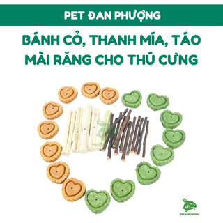 Bánh Cỏ - Thanh Mía - Que Táo MÀI RĂNG cho Thỏ, Chuột lang, Chinchilla, Hamster