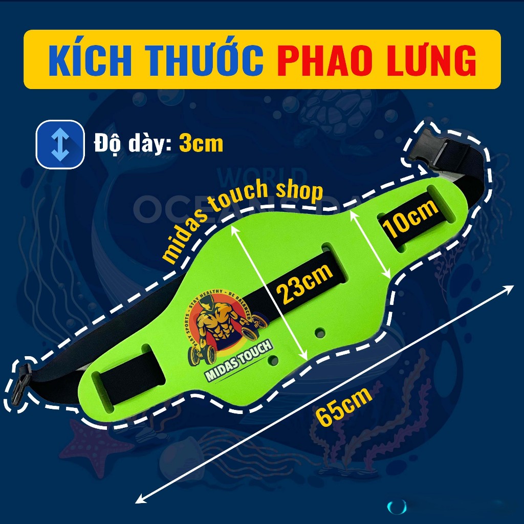 Phao Lưng Tập Bơi Cao Cấp Cho Người Lớn