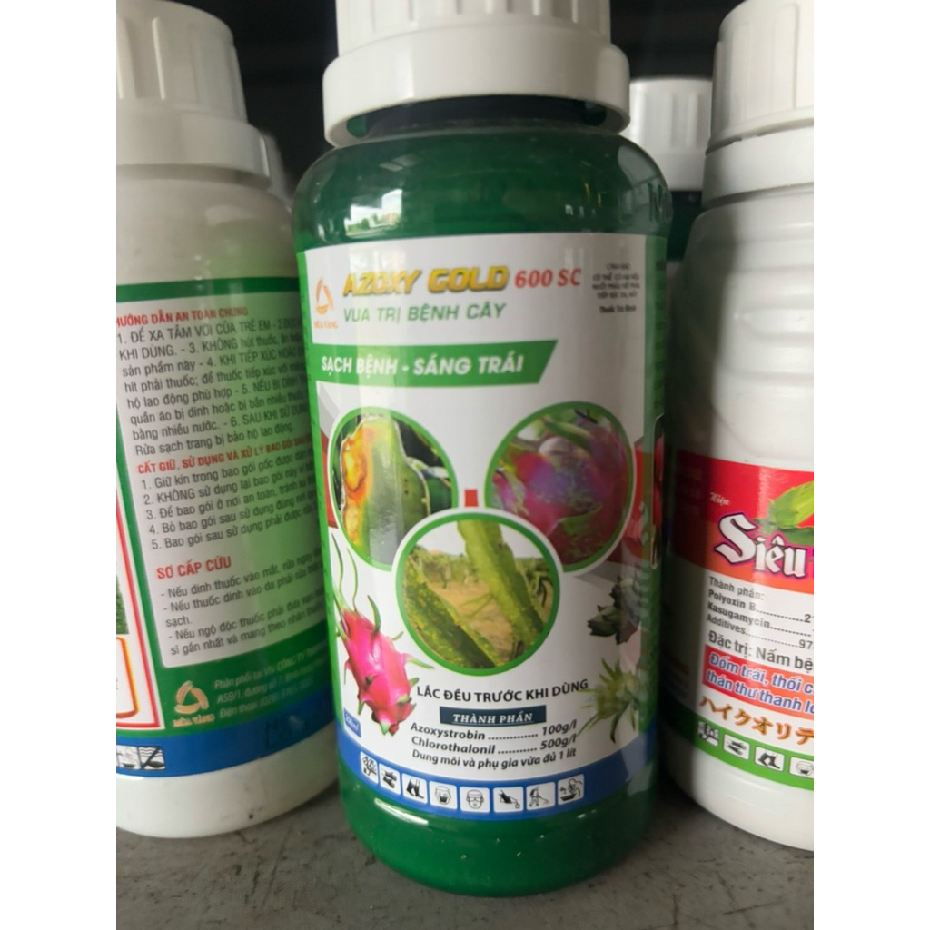 Azoxy Gold 600SC 250ML: Đốm trắng, đốm nâu Thanh long, thán thư Xoài