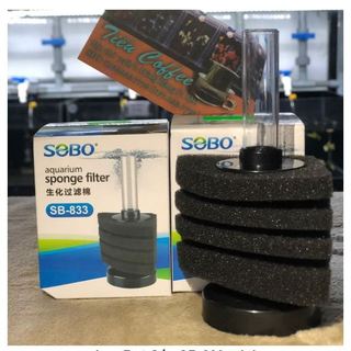Lọc Bio mini kiêm đầu sủi oxi cho bể cá nhỏ nuôi cá bột