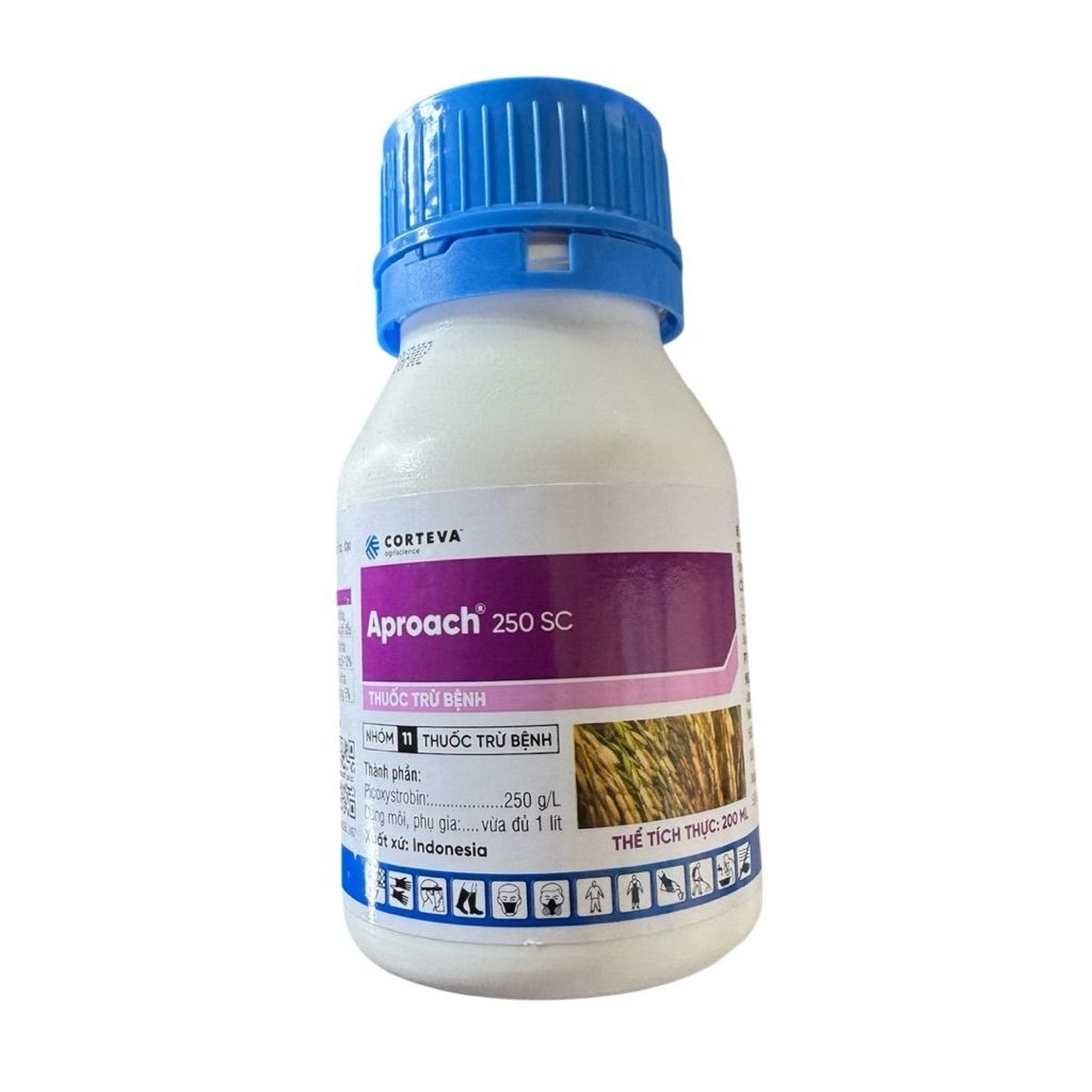 1 Chai - Aproach 250SC 200ml Corterva - đạo ôn, khô vằn, lem lép hạt,...