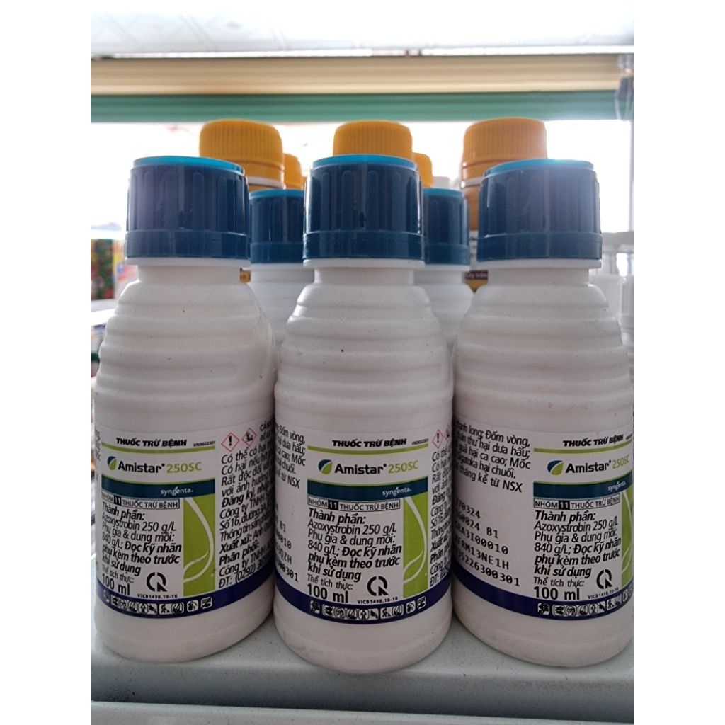1 Chai Amistar 250SC 100ml Syngenta - sương mai, thán thư, thối quả,...