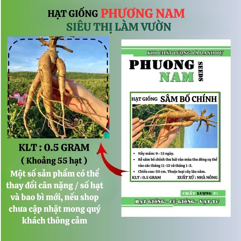 0.5 Gram - Hạt Giống Sâm Bố Chính Phương Nam