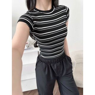 @𝐤𝐚𝐲𝐜𝐢.𝐬𝐭𝐮𝐝𝐢𝐨 Áo Thun Sọc Đôi Dáng Lửng Form Ôm Slimfit Daily Basic Style (A149)