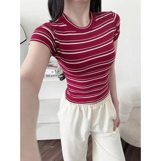 @𝐤𝐚𝐲𝐜𝐢.𝐬𝐭𝐮𝐝𝐢𝐨 Áo Thun Sọc Đôi Dáng Lửng Form Ôm Slimfit Daily Basic Style (A149)