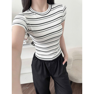 @𝐤𝐚𝐲𝐜𝐢.𝐬𝐭𝐮𝐝𝐢𝐨 Áo Thun Sọc Đôi Dáng Lửng Form Ôm Slimfit Daily Basic Style (A149)
