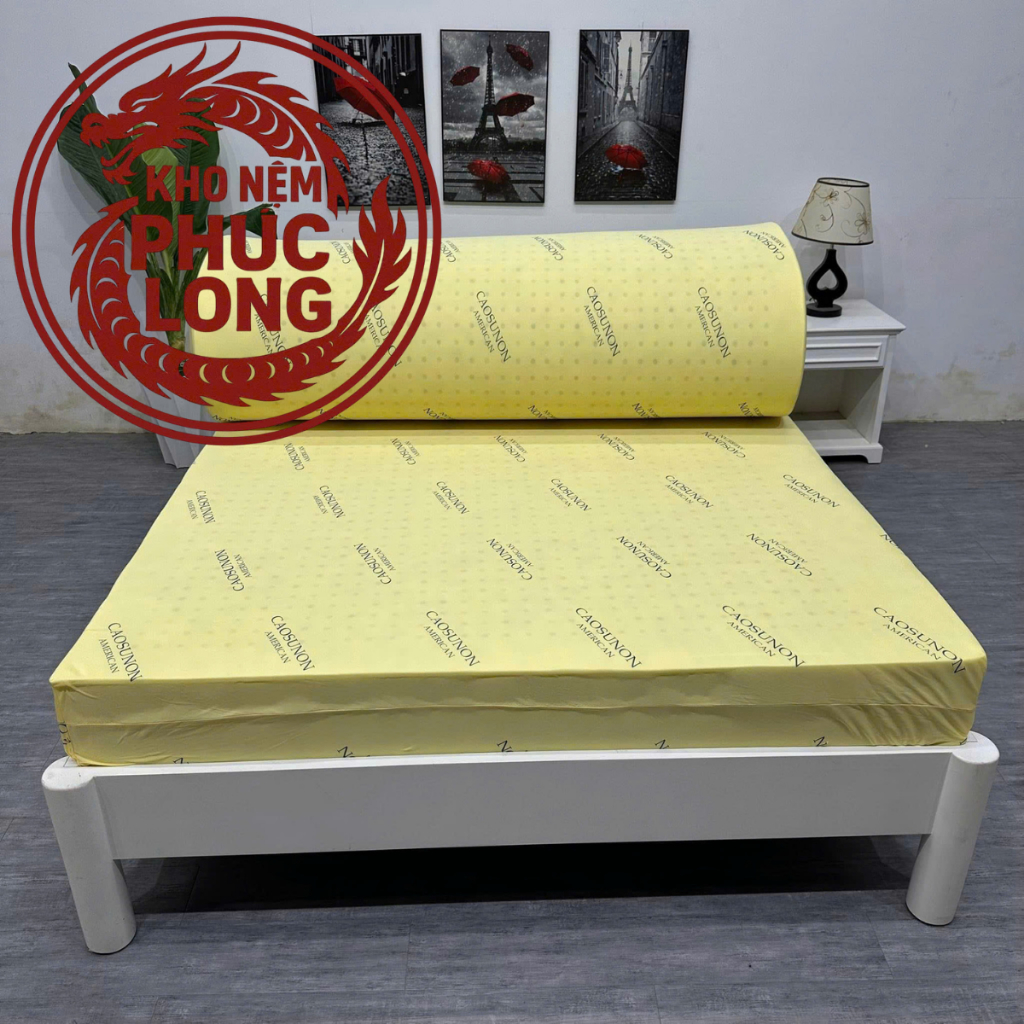 NỆM ĐỦ KÍCH THƯỚC ( TẶNG 2 GỐI + SHIP HỎA TỐC TP.HCM )