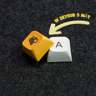 KeyCap Pudding PBT 110 Phím (OEM Profile) Của EZPC
