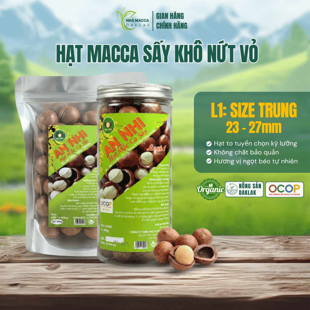 Hạt Macca Daklak Sấy Khô Nứt Vỏ 500gr, Size Trung, Hương Vị Ngọt Béo Tự Nhiên - Nhà Macca Daklak