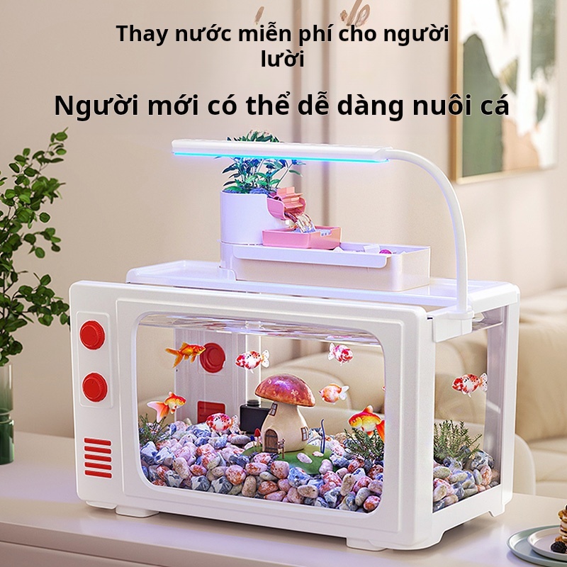 Bộ lọc và máy tạo oxy tích hợp cho bể cá, bể cá cảnh sinh thái LGPF022