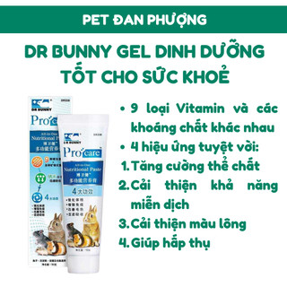 Gel dinh dưỡng DrBunny tốt cho Sức Khỏe dành cho Thỏ, Hamster, Chuột Lang, Chinchillas,... - DR330
