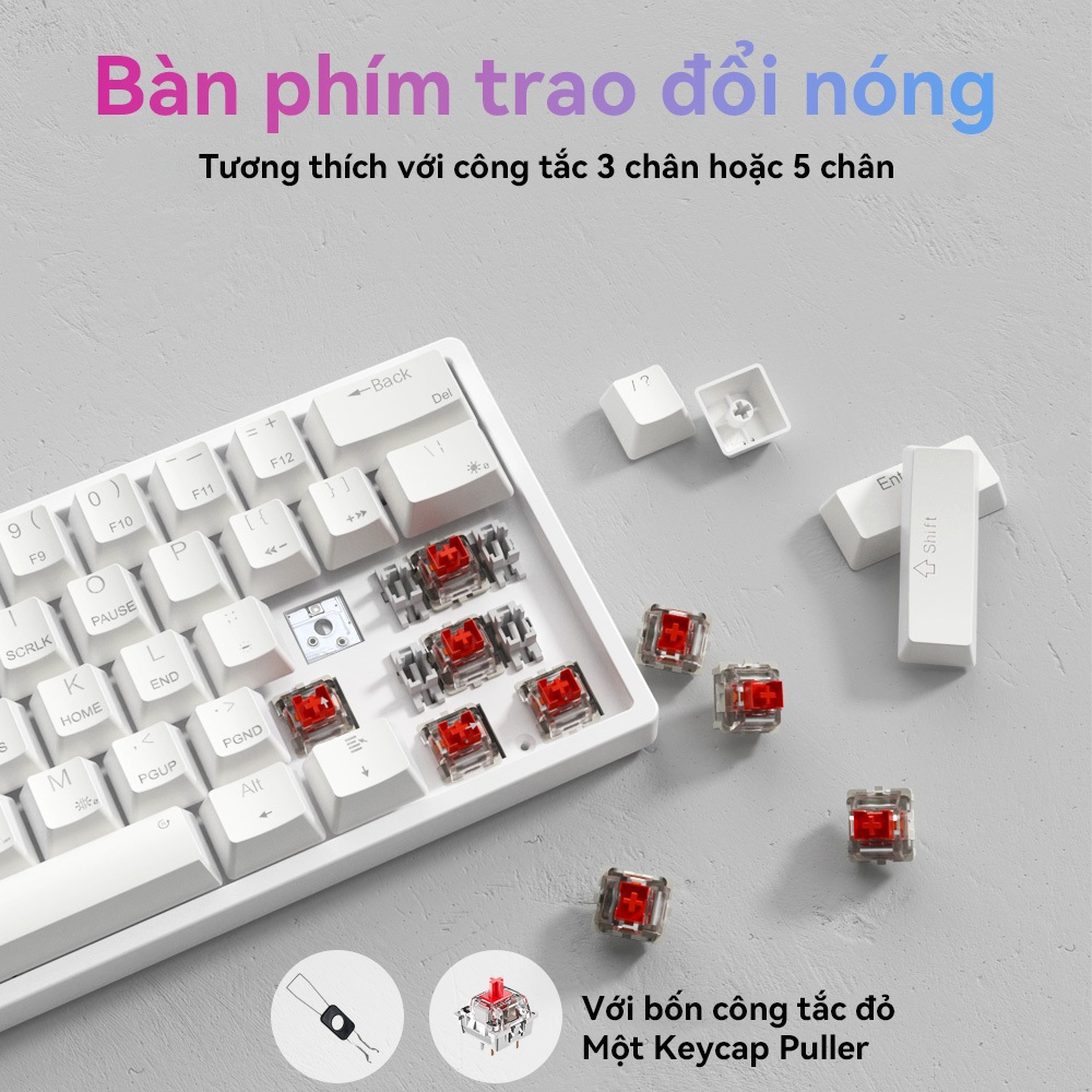 AULA F3261 61 phím Bàn phím cơ khí có dây RGB Bàn phím chơi game nhỏ gọn có thể trao đổi nóng Bàn phím đèn LED | BigBuy360 - bigbuy360.vn