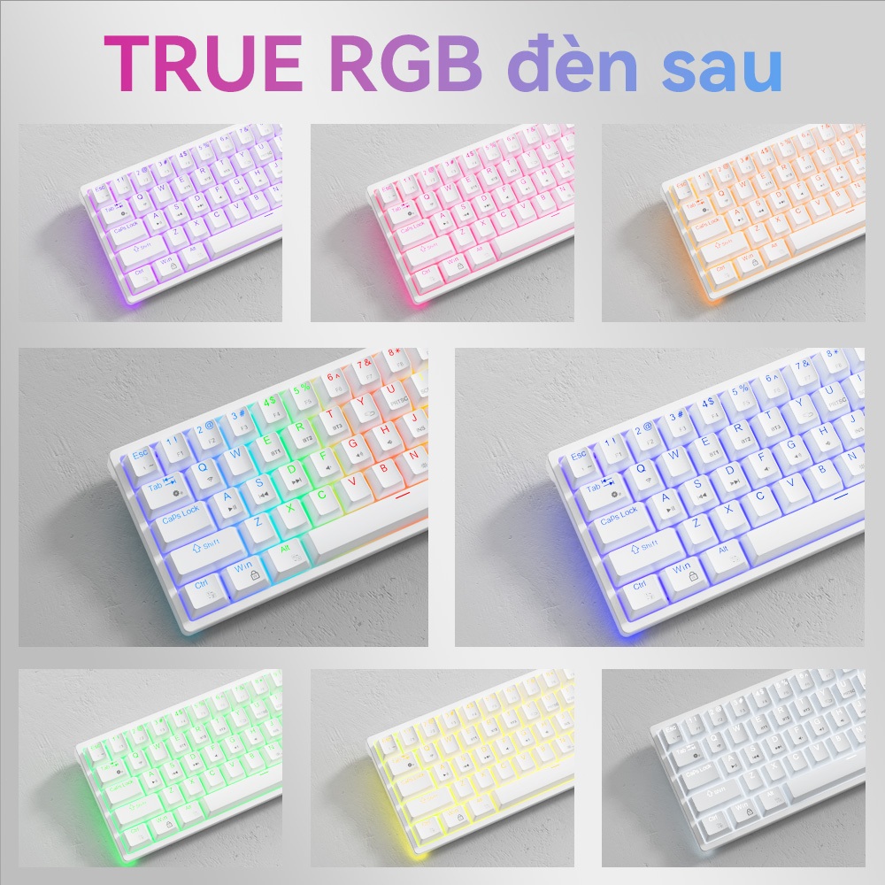 AULA F3261 61 phím Bàn phím cơ khí có dây RGB Bàn phím chơi game nhỏ gọn có thể trao đổi nóng Bàn phím đèn LED | BigBuy360 - bigbuy360.vn