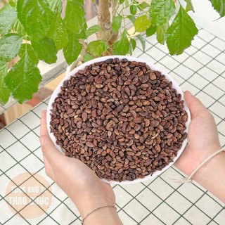Nữ trinh tử khô 100g, hạt nữ trinh tử, hạt đẹp, thơm, sạch, dùng pha trà