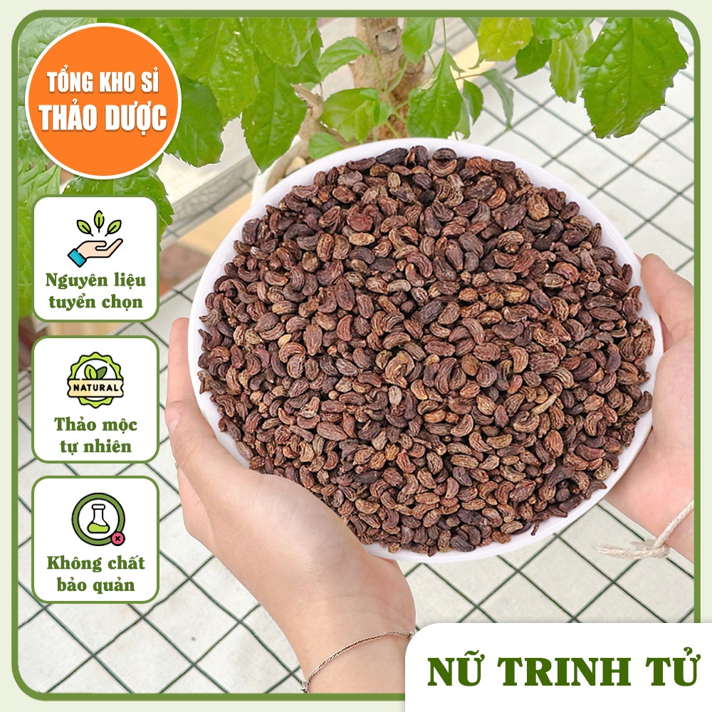 Nữ trinh tử khô 100g, hạt nữ trinh tử, hạt đẹp, thơm, sạch, dùng pha trà