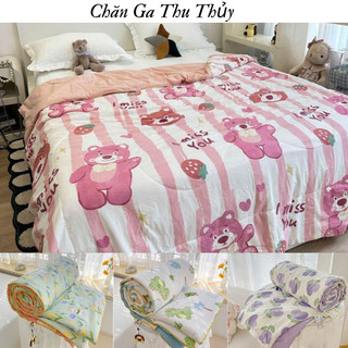  Chăn hè cotton đũi sơ đậu nành 1m8x2m chăn đũi sơ đậu nành cao cấp hàng loại 1 chăn thu hè siêu mát cho mùa hè 