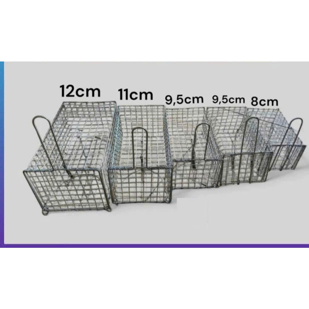 combo 2 bẩy chuột , sóc trung