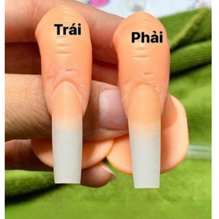 Ngón tay giả có khoé tập sơn móng vẽ móng , úp móng giả , đắp gel bột cho học viên thực hành đa năng giá rẻ