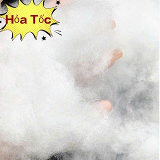  ☁️ Bông Gòn Trắng Cao Cấp Đàn Hồi Cao Nhồi Gối Gấu Bông Gối Ghế Lười,Gòn Bông làm đám mây decor Bông Gòn giá rẻ 