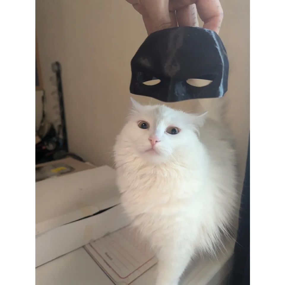 Mặt nạ Batman cho Thú Cưng - Mặt nạ Batman cho Mèo - Đồ chơi cho Mèo
