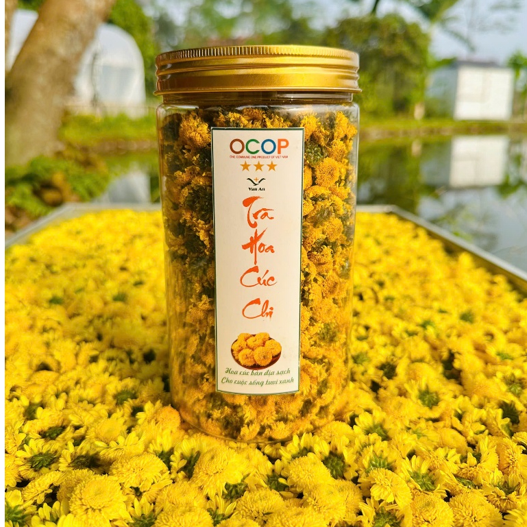 Trà Hoa Cúc Chi OCOP Của HTX Vạn An Sấy Lạnh Tinh Hoa Núi Cao Nhiều Tinh Chất Thơm Ngon Thanh Mát