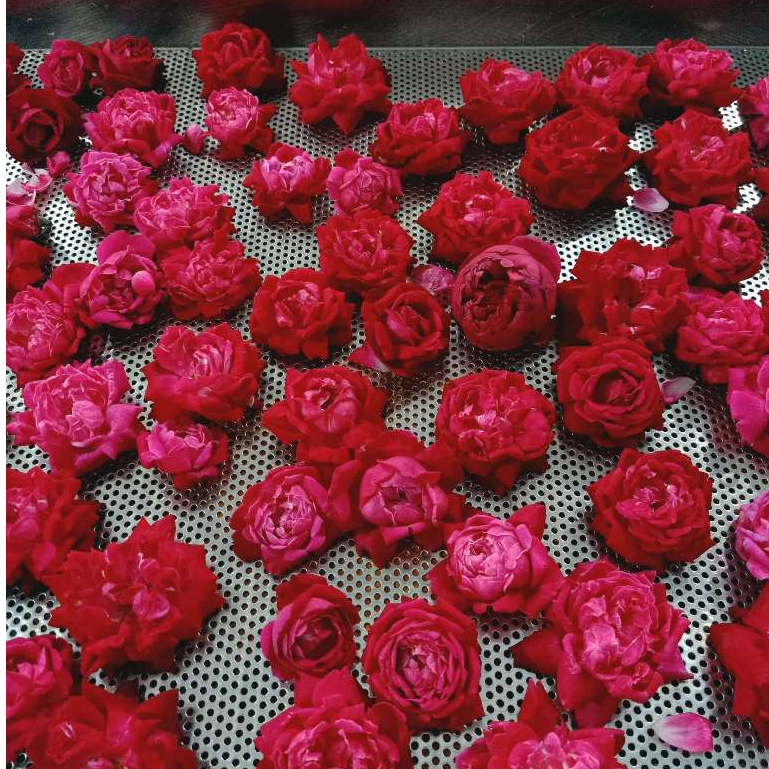 Trà Hoa Hống Cổ OCOP HTX Vạn An Bản Địa Thơm Ngon Đặc Biệt Ấn Tượng Đẹp Da