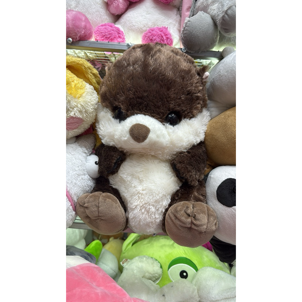 Rái cá Amuse (2hand chính hãng Nhật)