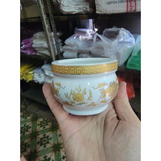 lư nhan rồng trắng