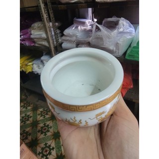 lư nhan rồng trắng