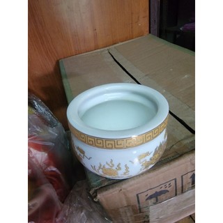 lư nhan rồng trắng