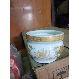 lư nhan rồng trắng
