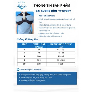 Đai xương đòn