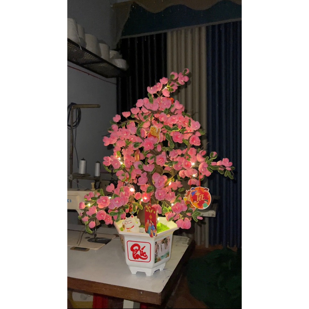 Cây hoa đào bonsai kẽm nhung 70cm ,trang trí nhà cửa .