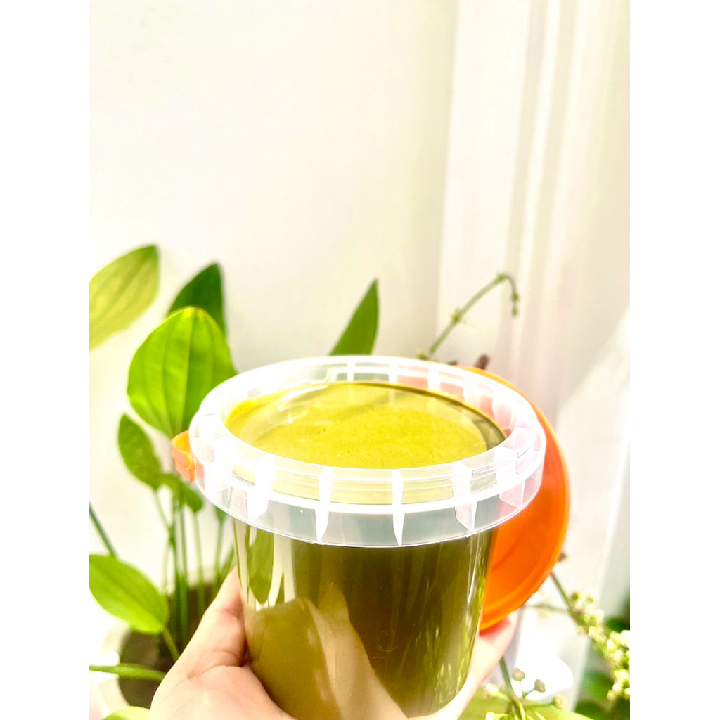 Xô 1 Ký - 5 ký Bơ hạt dẻ cười (Pitachio paste - butter pistachio/ Cream pistachio)