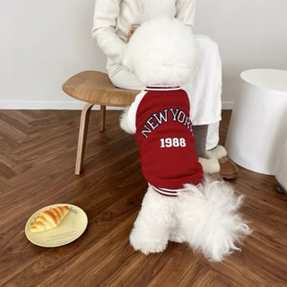 [Sẵn hàng - Size M 2.5-4kg] Quần áo thú cưng, quần áo chó mèo