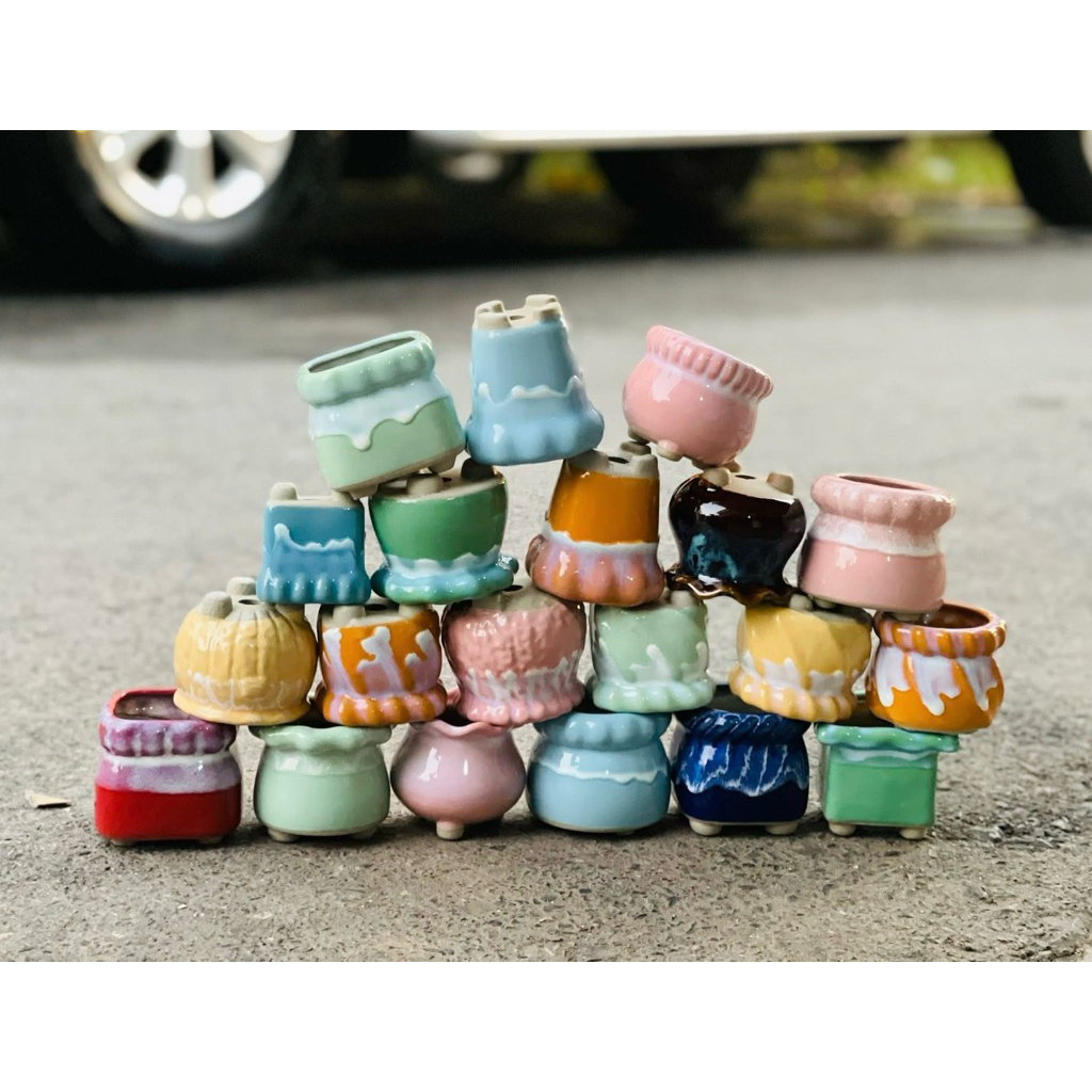 Chậu sứ mini trồng cây
